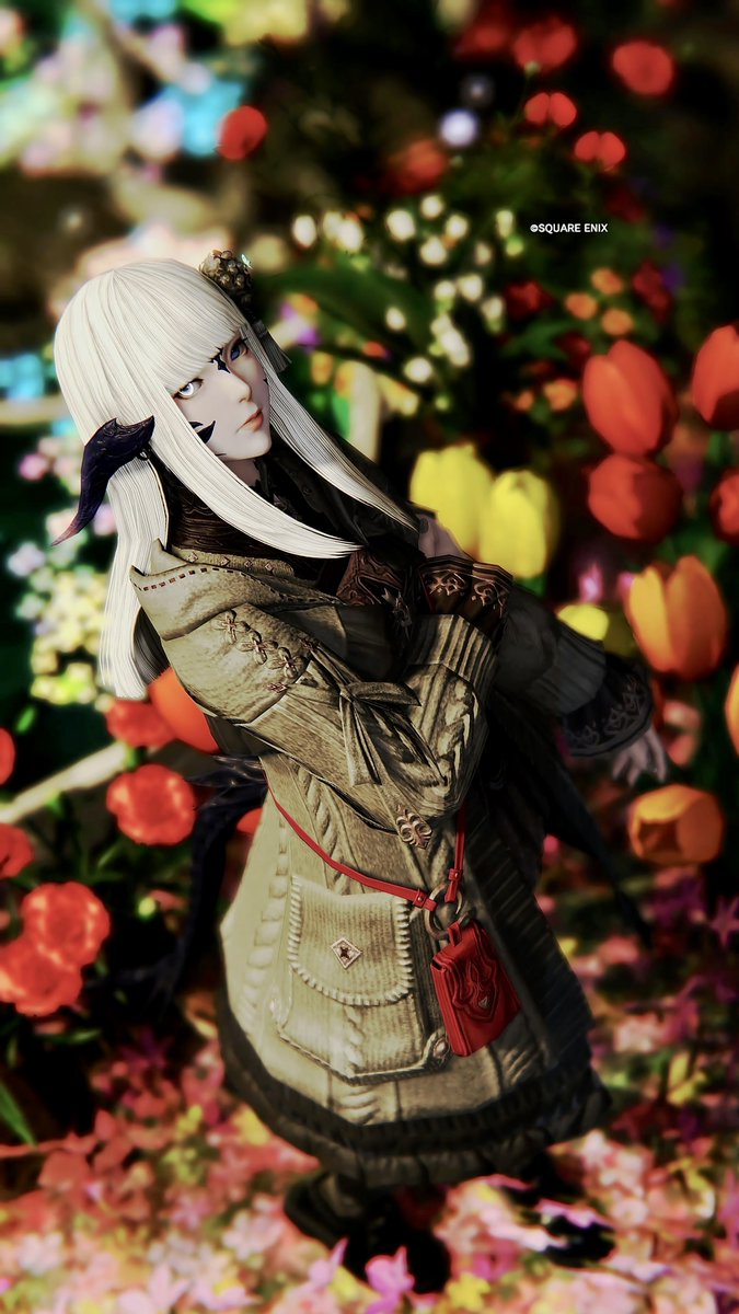 Co & Anny tweet media