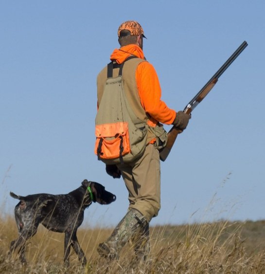 Mario Tozzi ⛏ tweet media