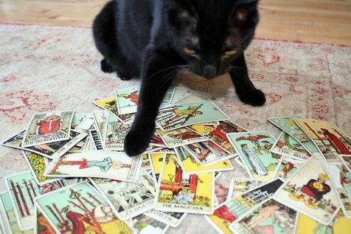 mimi ♡ agenda aberta tweet media