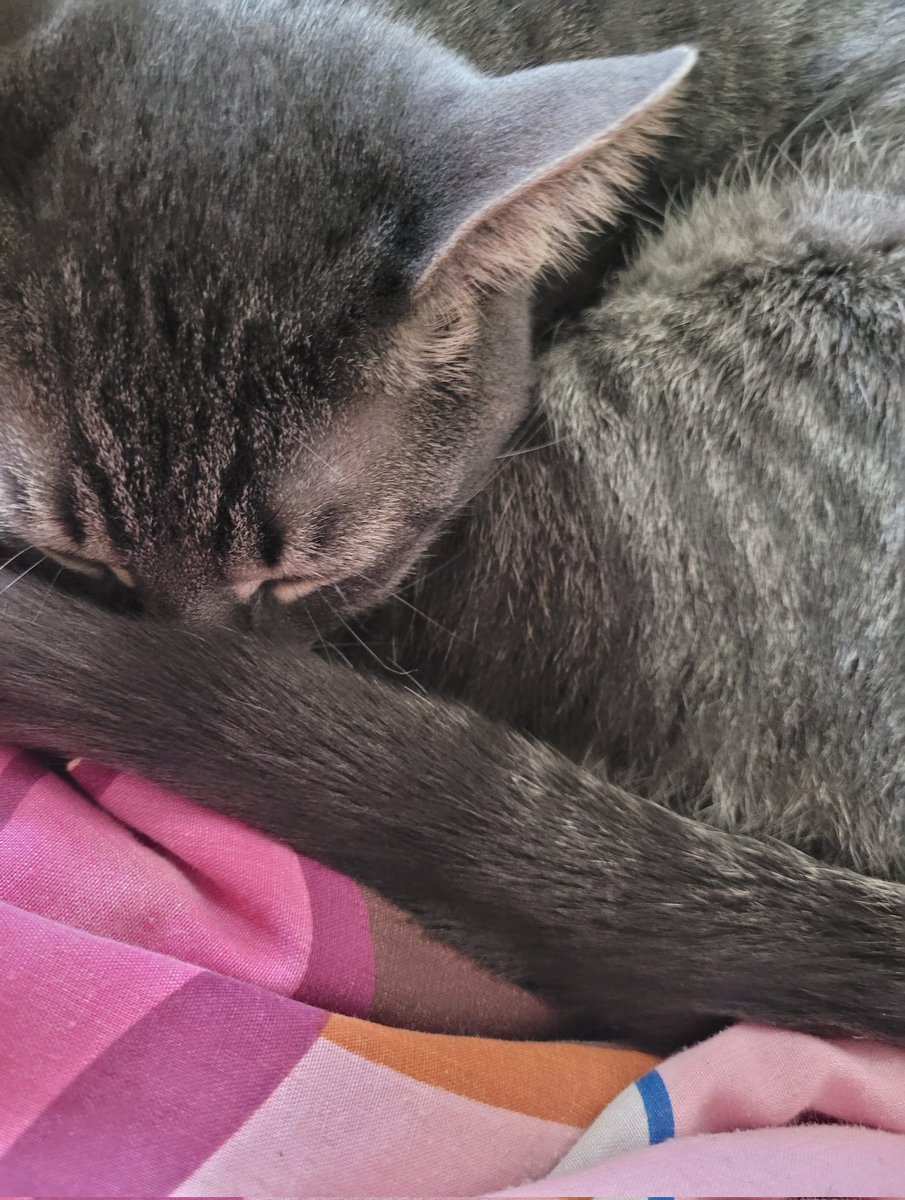 daisy☆•°♡ tweet media