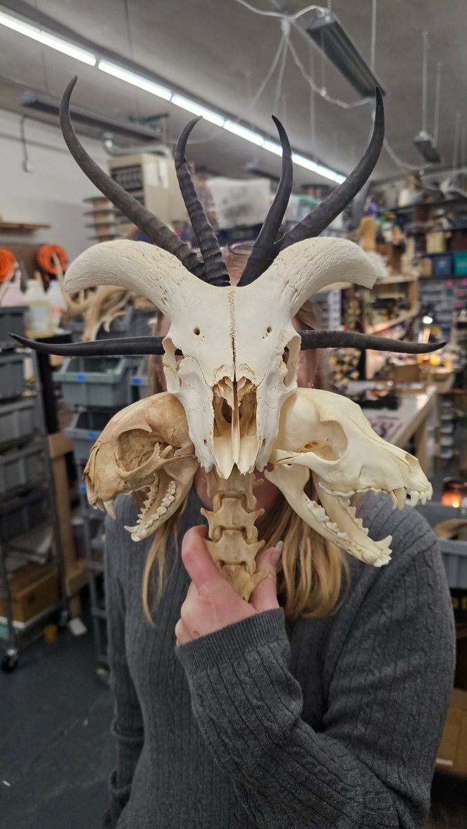 4gottenBoneyard's tweet image. Hanging at @scavengedparts working on some things for #Rockford #Artscene