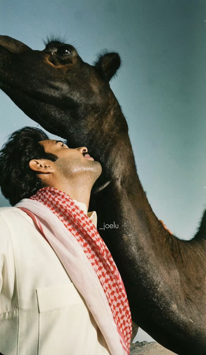 جُــويِــل tweet media