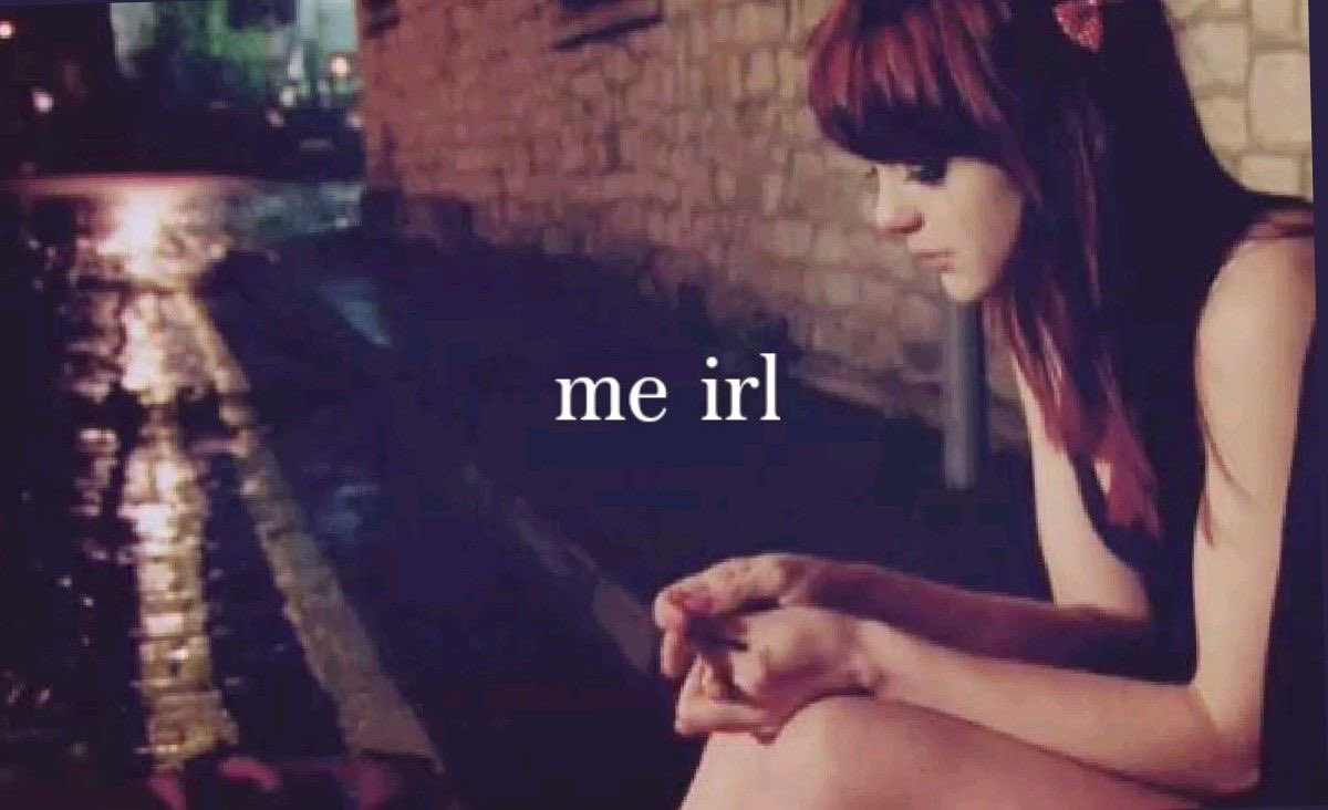 🐜🪲🕷️ tweet media