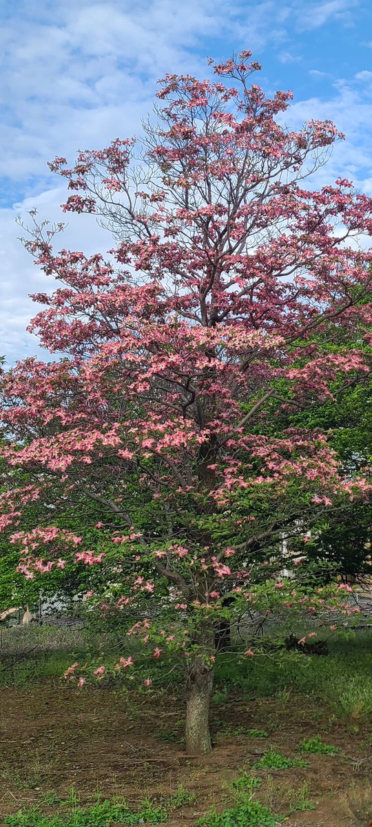 あぁなるほど
納得した
そろそろ池袋に行かないとな😌