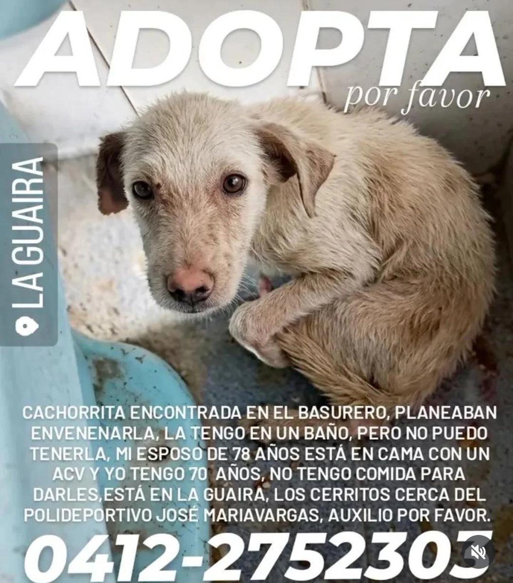 Mary Alvarez tweet media