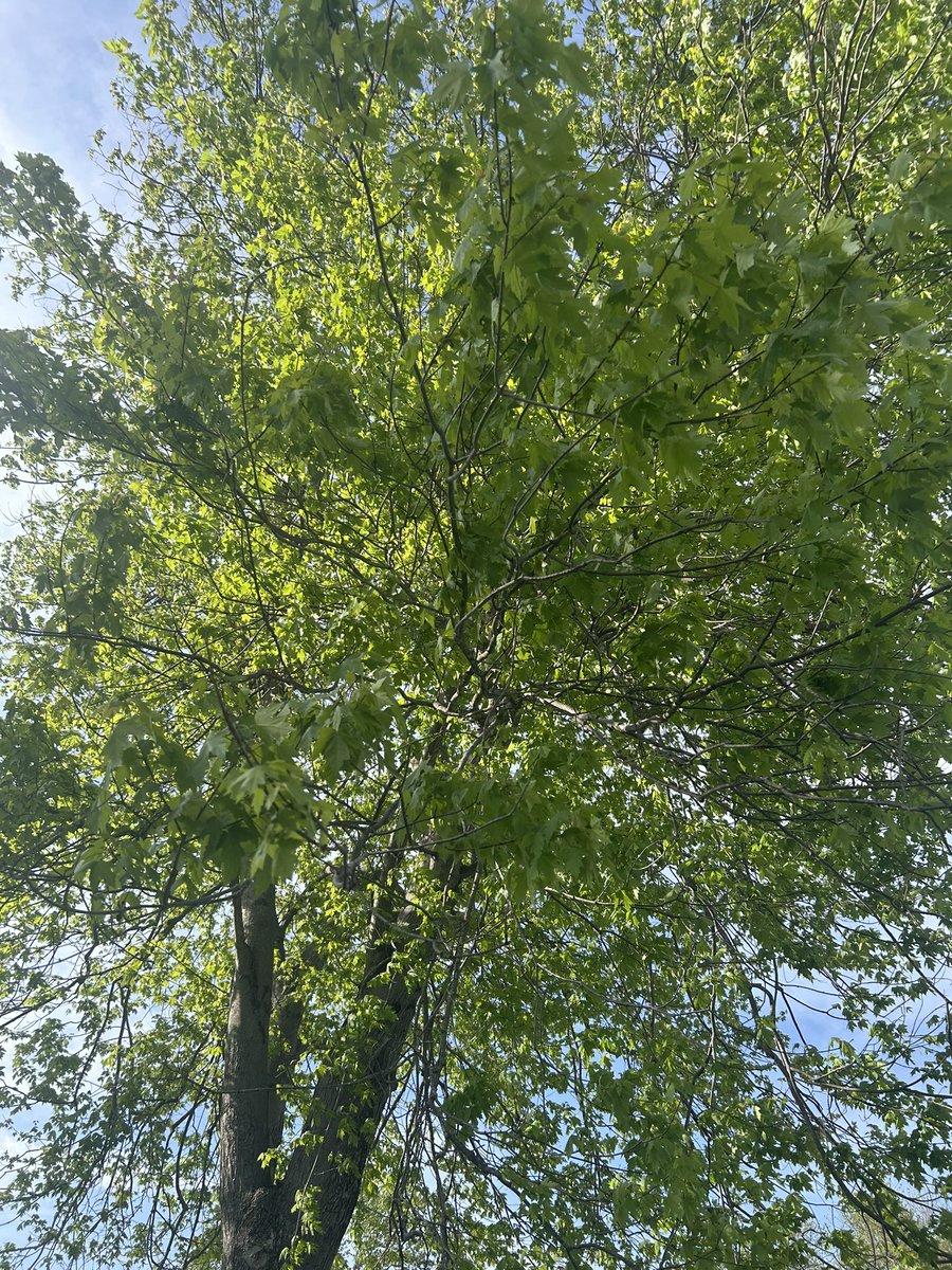 lillianromerof's tweet image. Great day 😎 Columbus, Ohio🇺🇸 #tuesdayvibes #Ohio