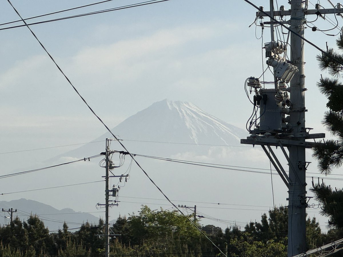 grass(ぐらす)@new_account tweet media