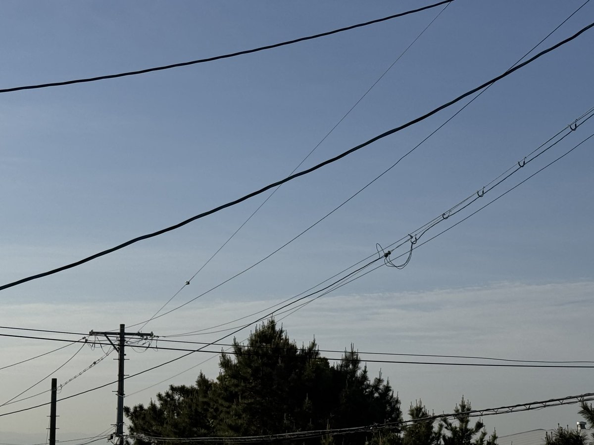 grass(ぐらす)@new_account tweet media