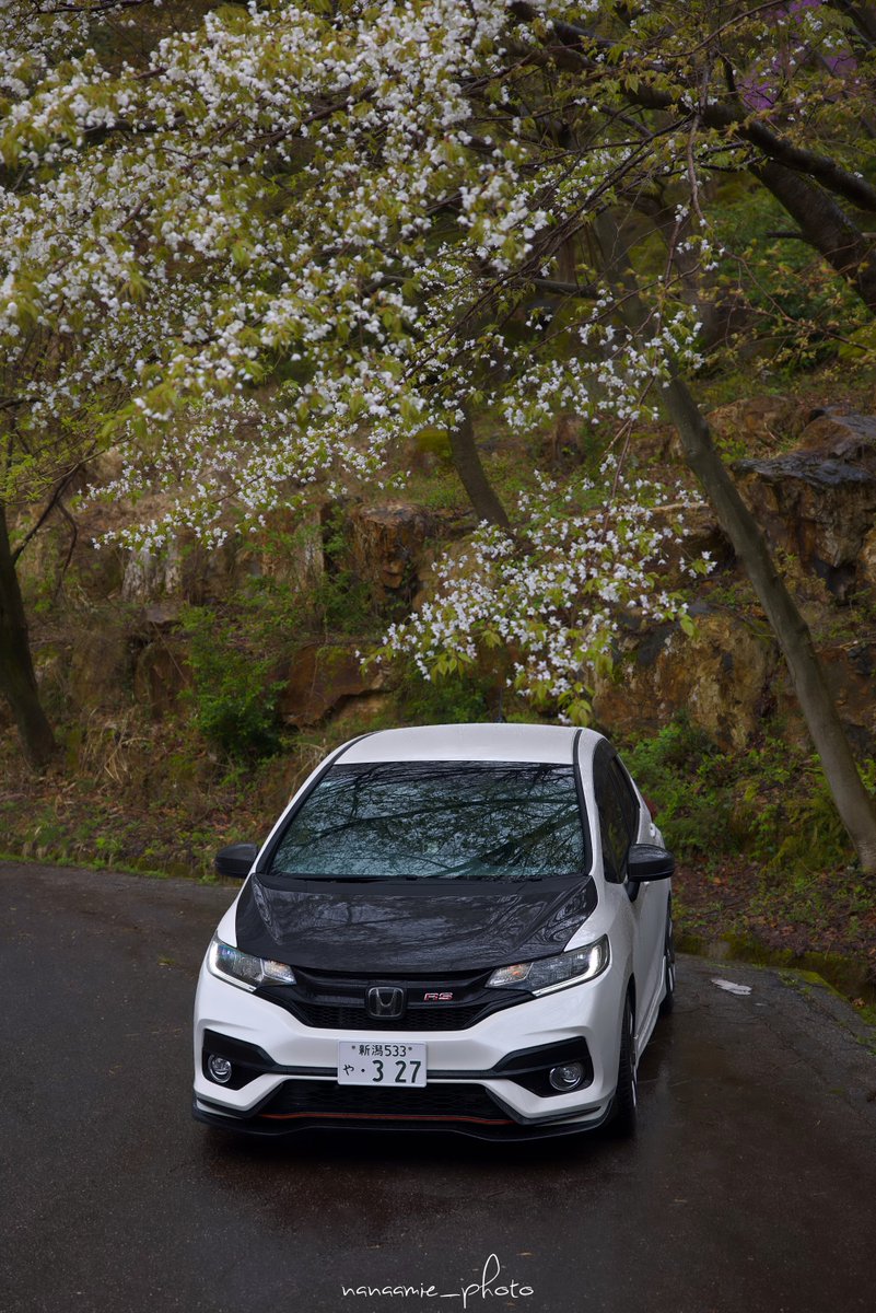 nanaamie_rill's tweet image. おはようございます🌸
#桜と愛車
#FIT #GK5