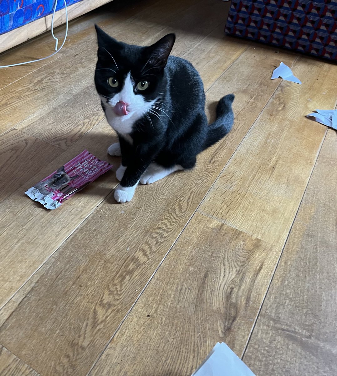 owenclark3's tweet image. No, I haven’t chewed a hole in the treats #catsoftwitter #tongueouttuesday