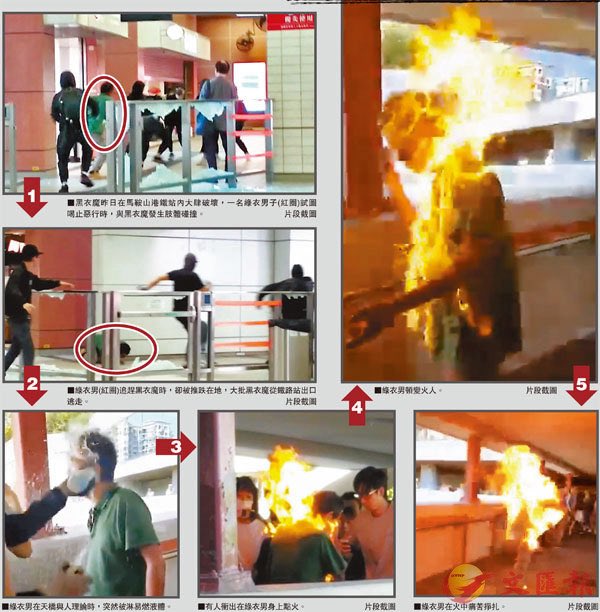 科瓦特番茄🍅 tweet media