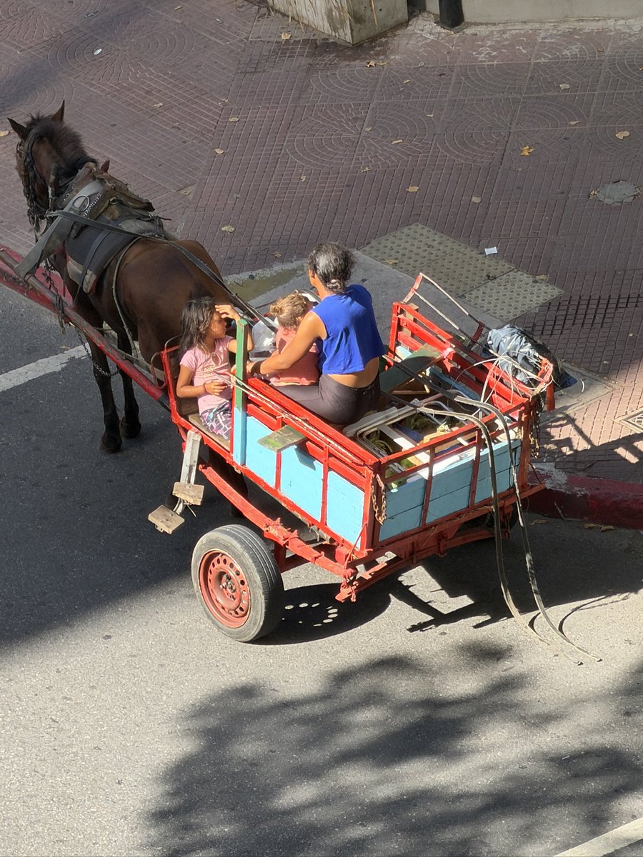 Gus 🤜🤛 tweet media