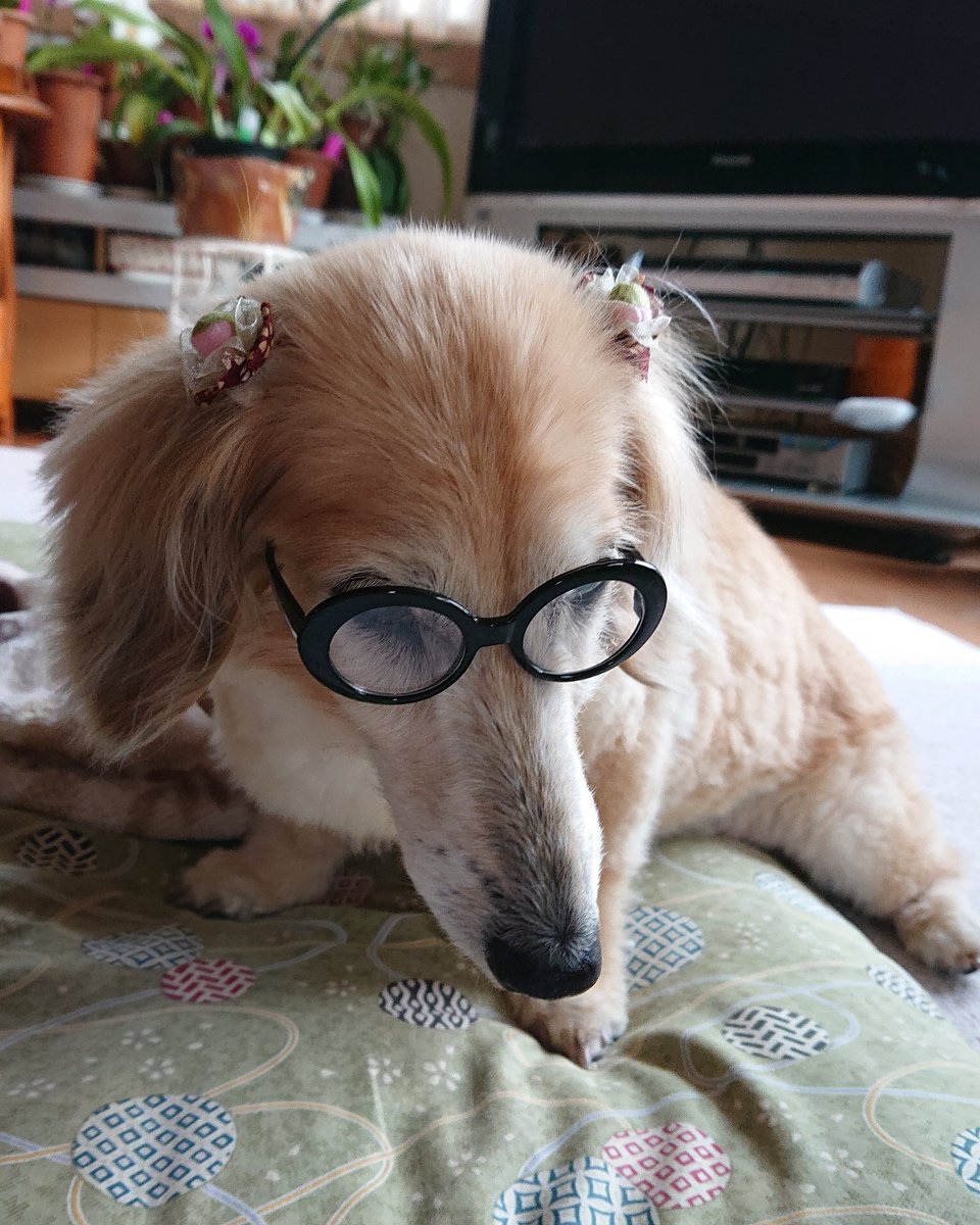 リボン tweet media