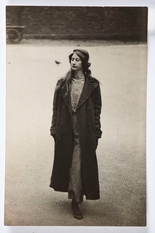 literland tweet media