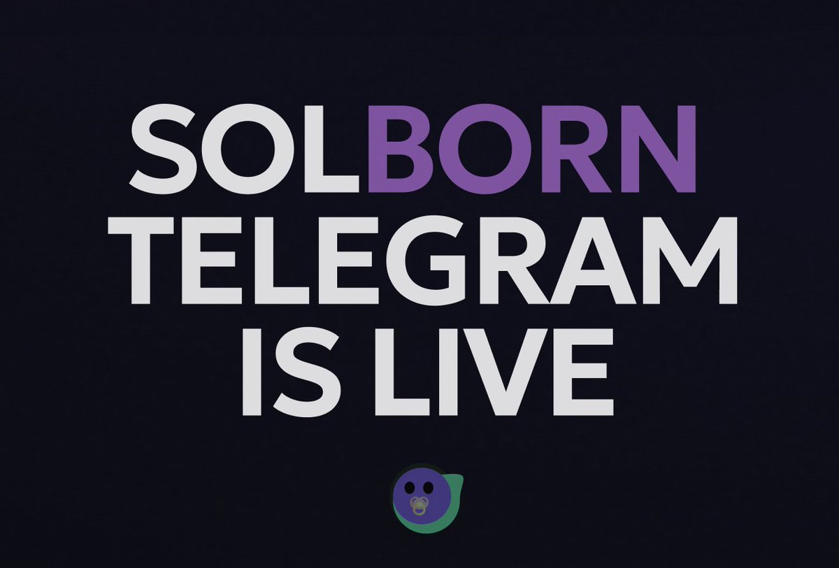 SolBorn tweet media