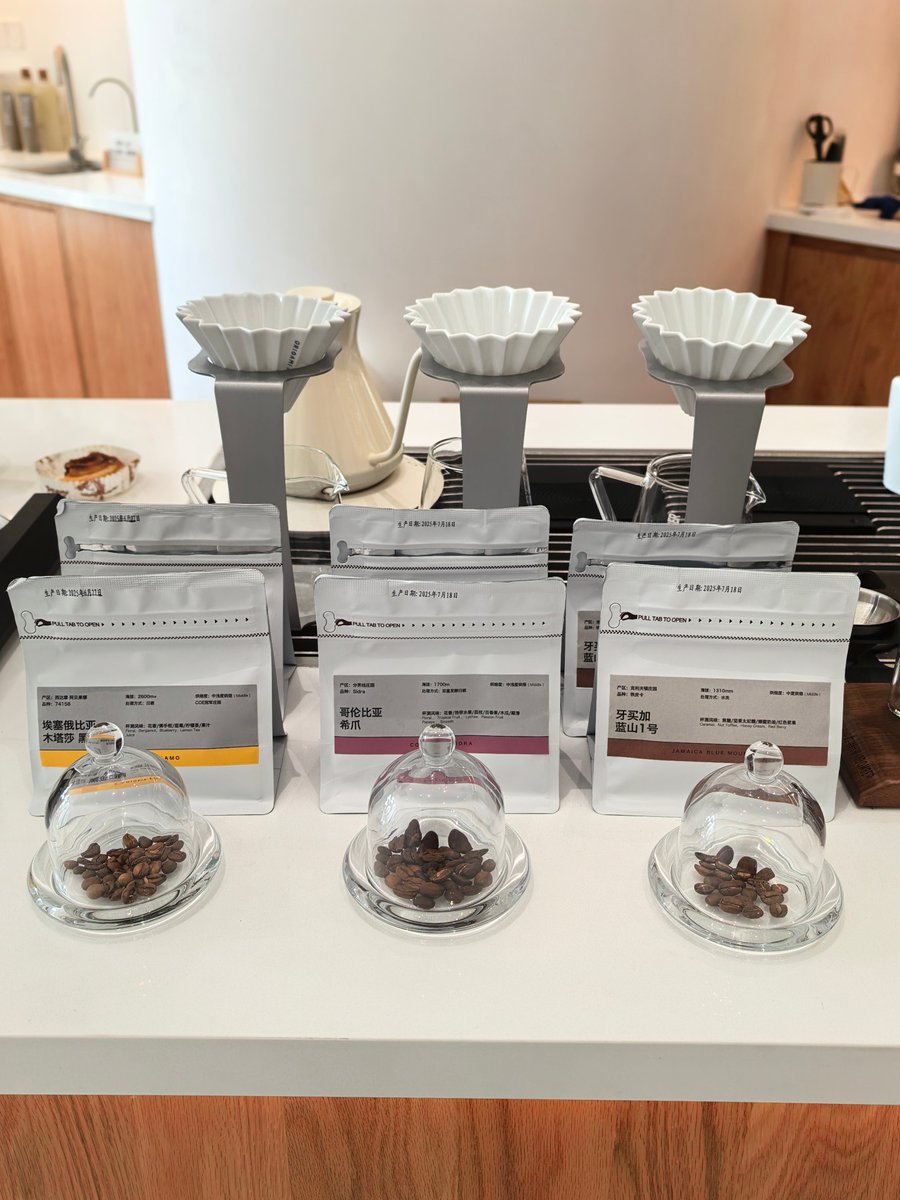 solange pizarro tweet media