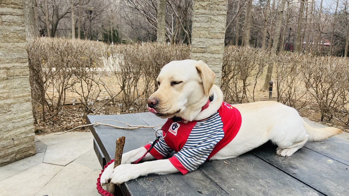 Tatou974 tweet media