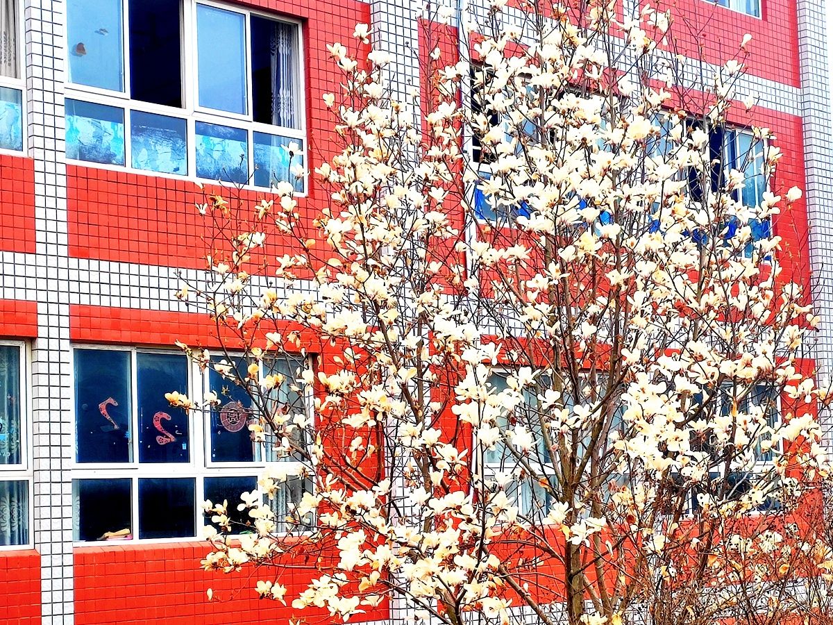 agudogoveronica tweet media