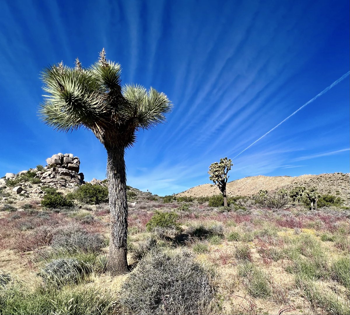 SoCalDrummerT's tweet photo. @admired_art https://t.co/4zWOY6MN9x