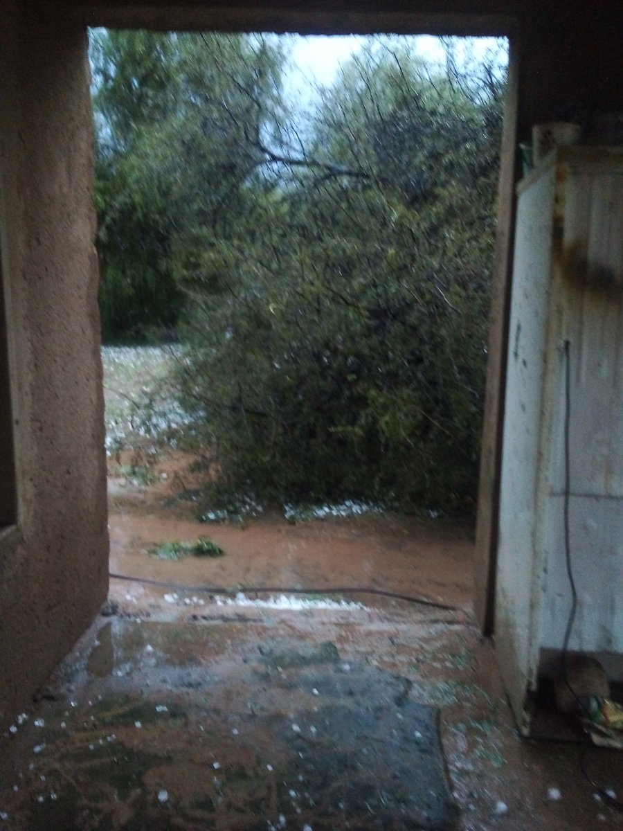 jabarit67's tweet photo. Mafikeng thunderstorm
Our tree fell on the electricity cable.luckily it snappedfrom the main supplier pole into the yard and not the other way around.
#saws #eskom #sabc #mafikengmunicipality https://t.co/gdXAGXadwB