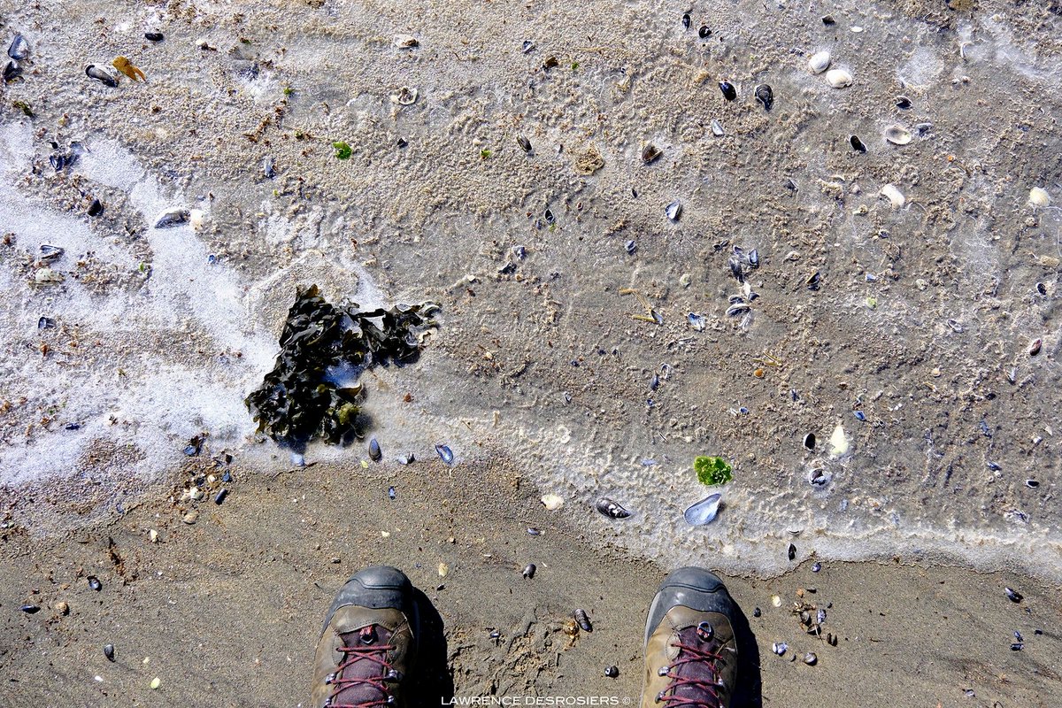 Lawrence tweet media