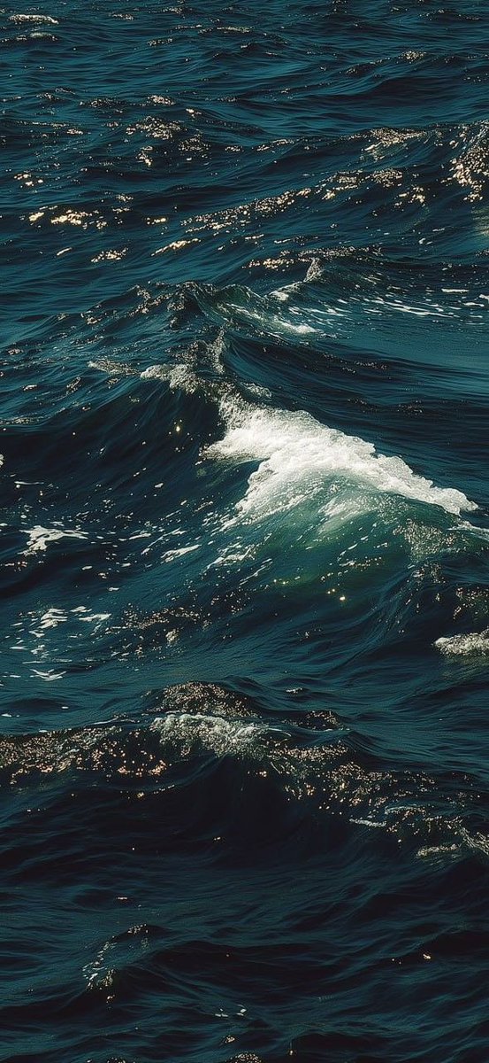 𝑙𝑦𝑟𝑎 tweet media