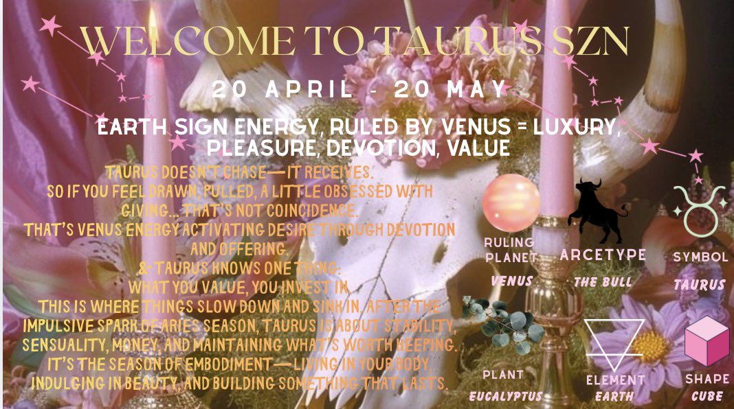 ʙʀᴀɴᴅʏ ⋆.𐙚 ̊ tweet media