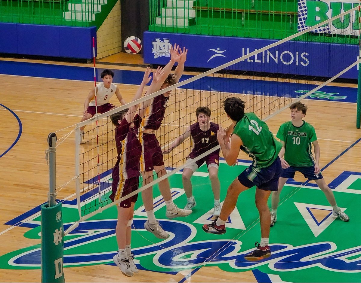 ndcpvolleyball's tweet image. The final ESCC season starts tonight as @ViatorBVball comes to town! Freshmen on at 5, varsity to follow. Come support your Dons and be LOUD!  #GoDons #CULTURE