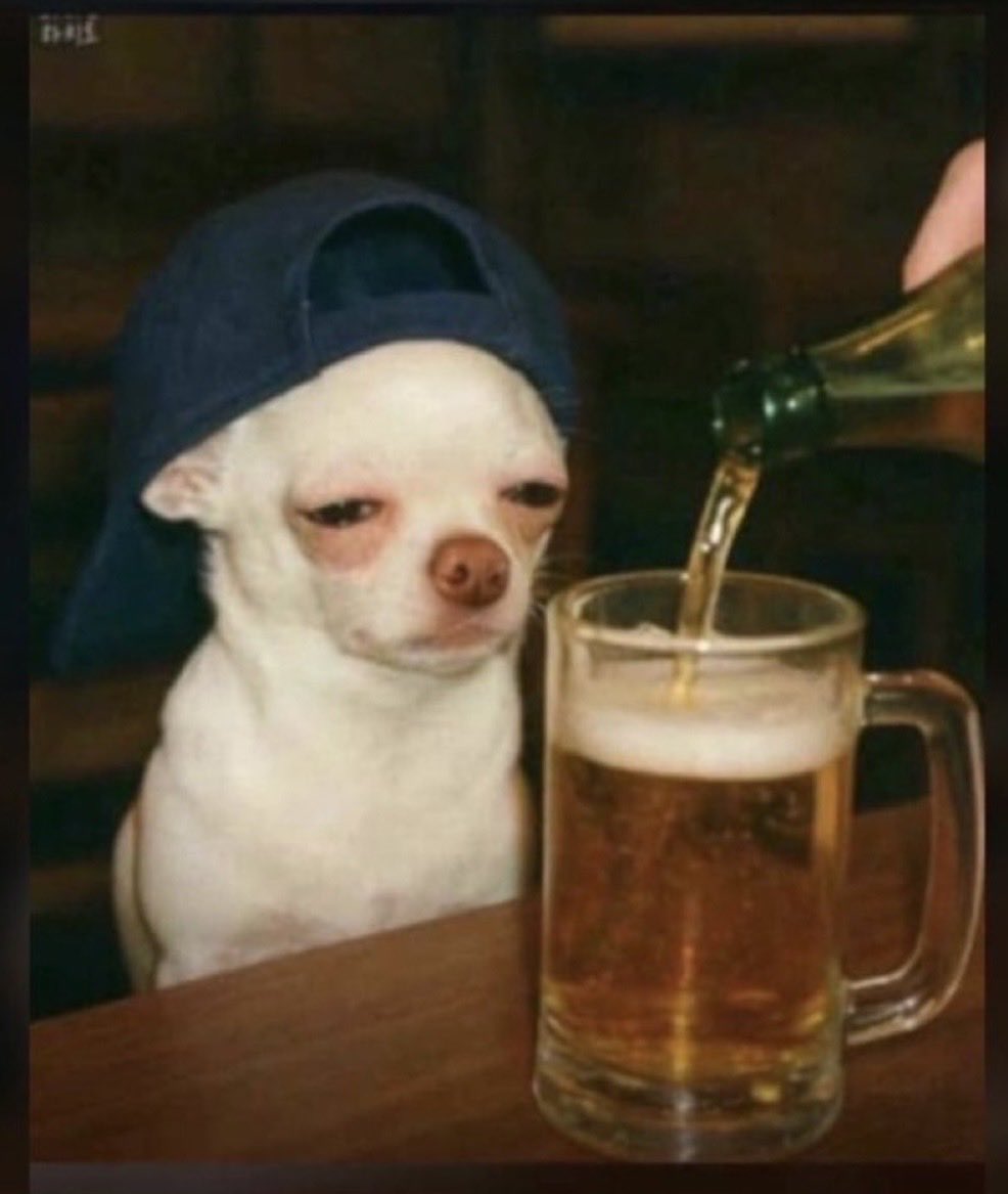 Texas Troll’em 23™️ tweet media