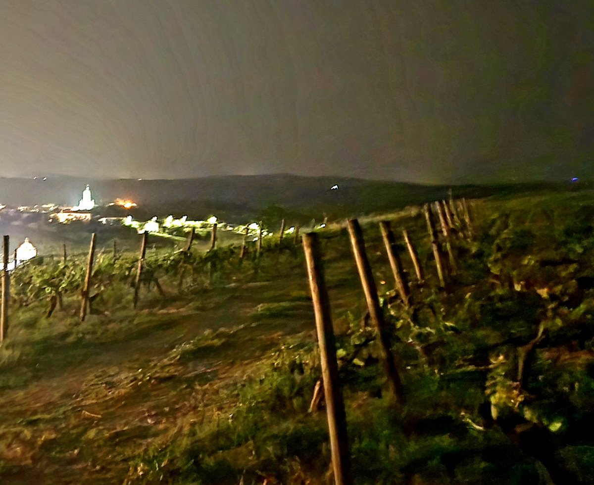 Santiago tweet media