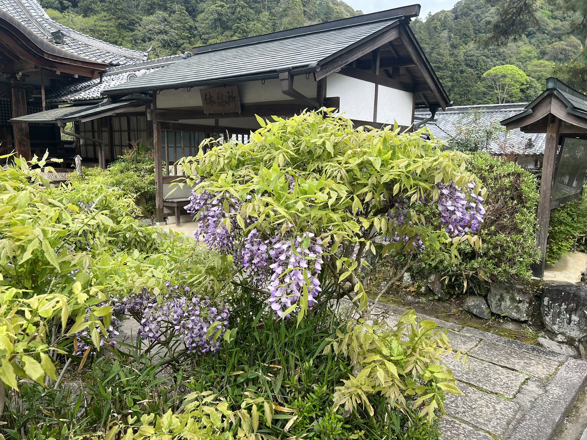 おはようございます☺️