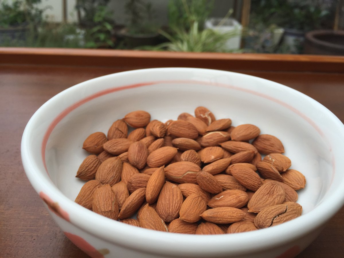 Judy Waters tweet media