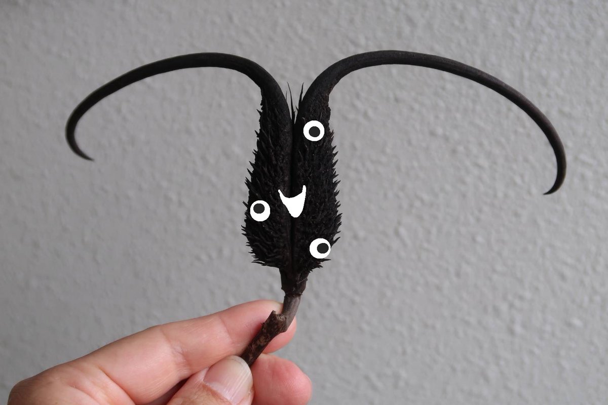 後　降裏夫 tweet media