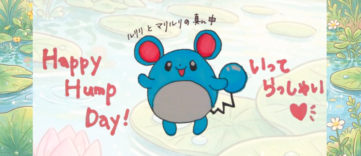 まどか𖧷｡.⁺@く tweet media