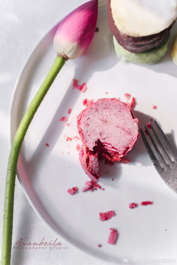 paradise tweet media