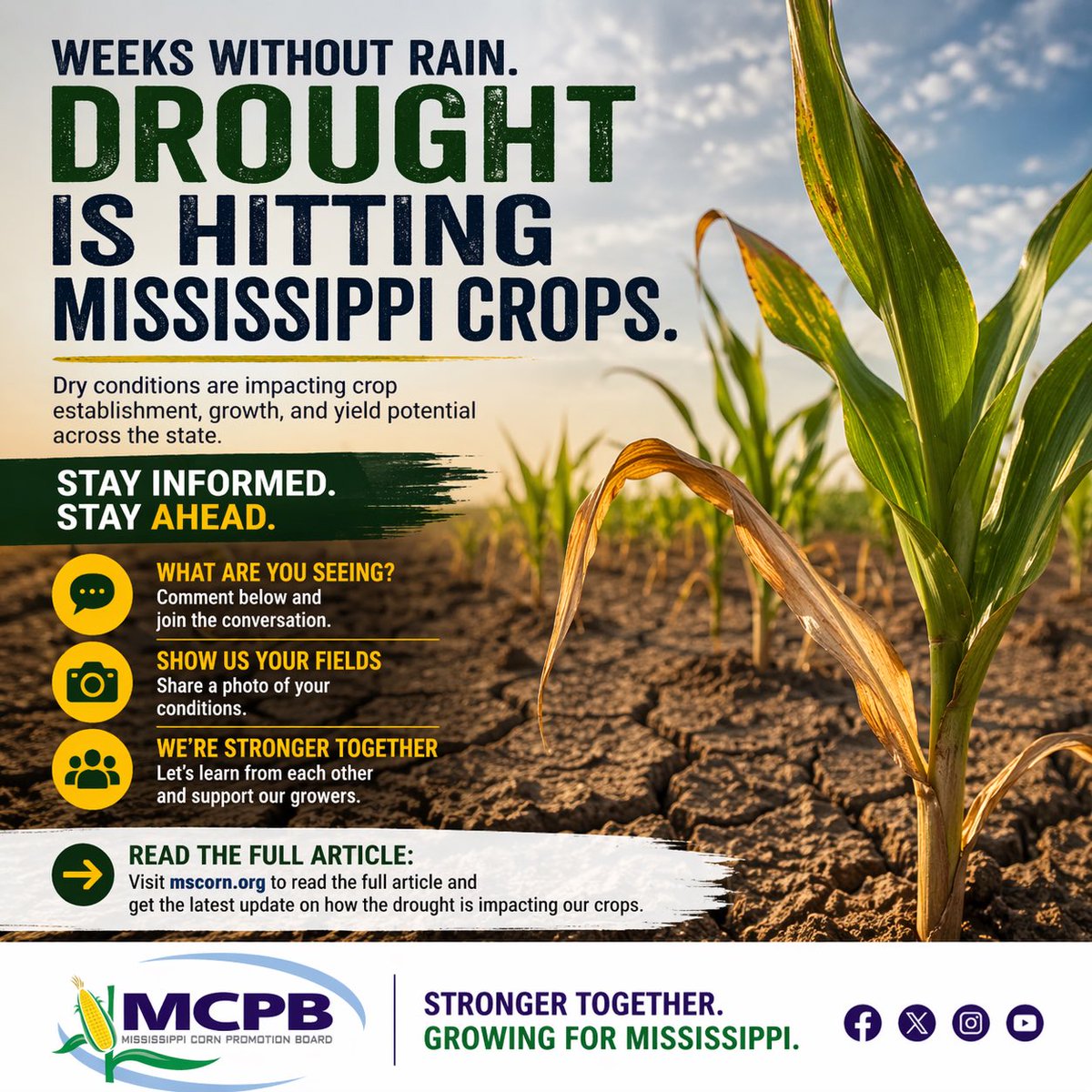 Mississippi Corn Promotion Board tweet media