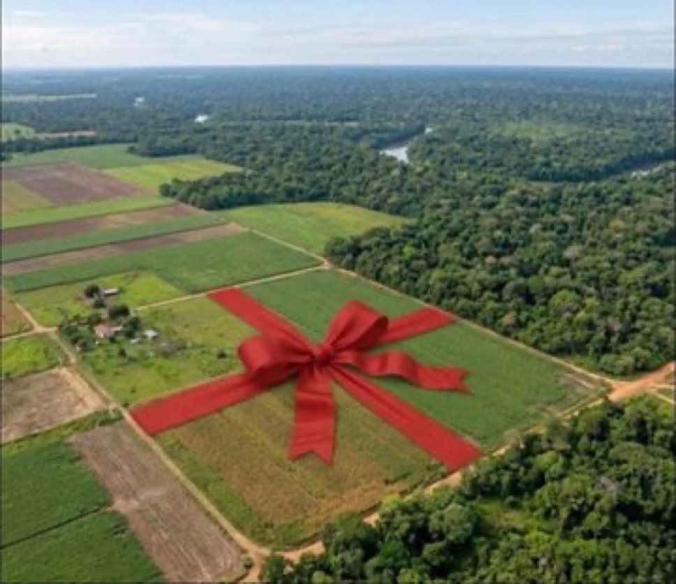 Internet Money Ops tweet media