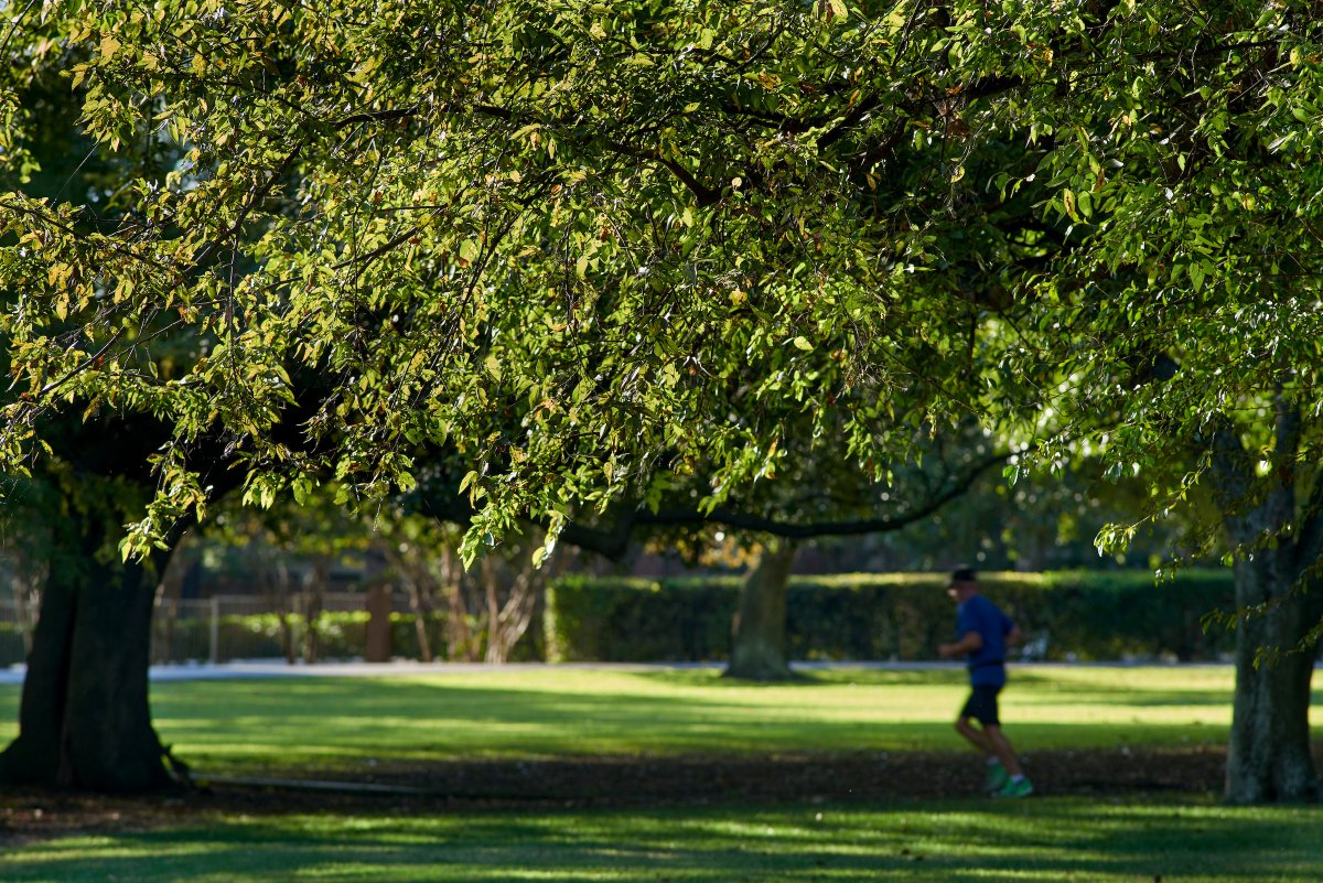 CooperAerobics's tweet image. A 5-star, wellness-oriented retreat. Click through to read more about this guest's quiet, clean &amp;amp; comfortable stay at #CooperHotel. Book your stay with us at cooperhoteldallas.com #hotelreview #traveltuesday #guestreview #hotel #googlereview #dallashotel #dfwhotel #staywell