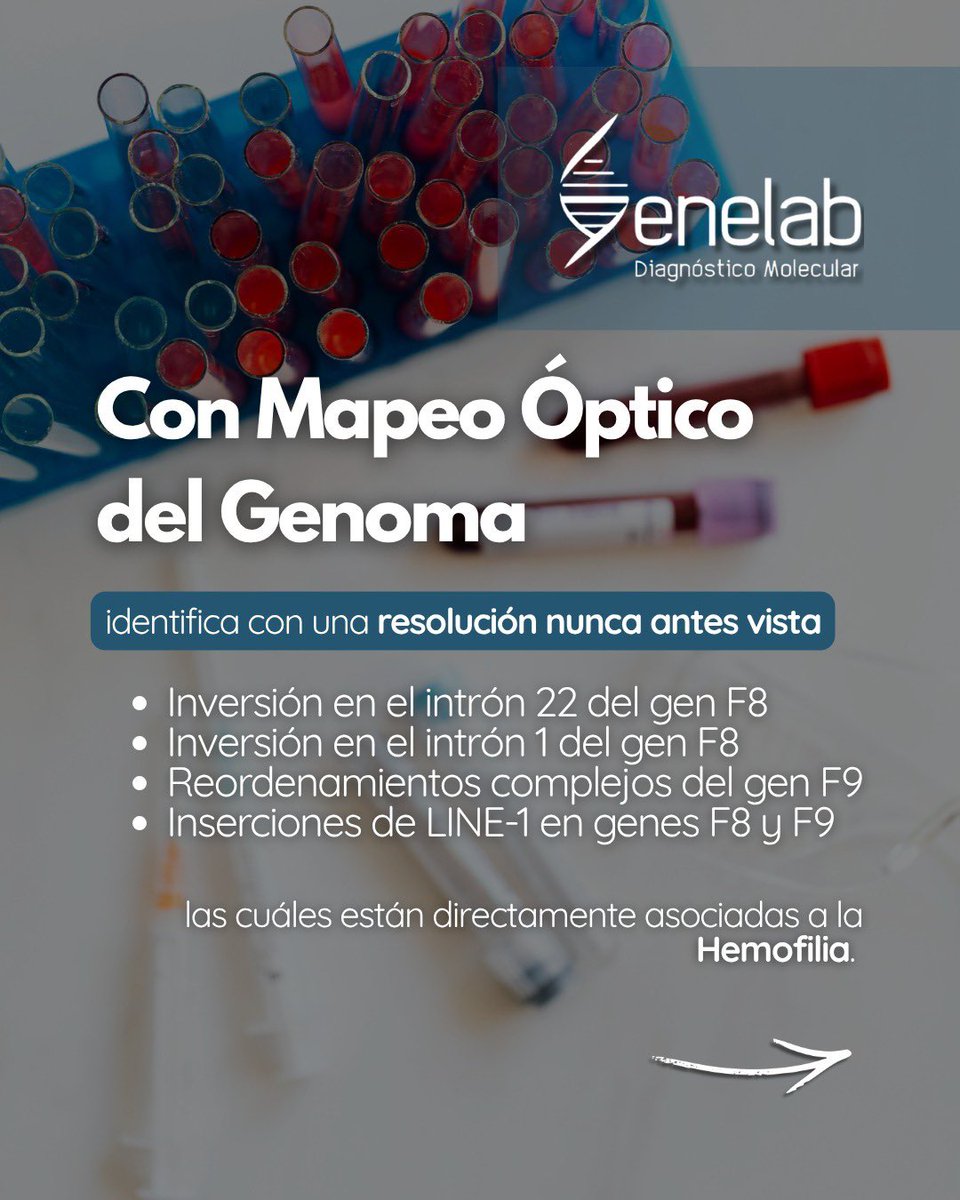 GenelabL's tweet image. La hemofilia es un trastorno genético que requiere de un diagnóstico preciso. 🧬
Hoy, tecnologías como el Mapeo Óptico del Genoma (OGM) permiten identificar alteraciones complejas con una resolución sin precedentes.

📲 Contáctanos al 55 1849 9455.

#Hemofilia #OGM #Genelab