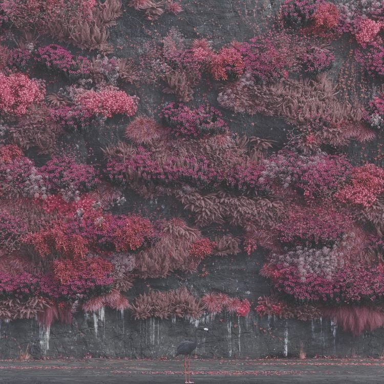 Digital Unrest tweet media