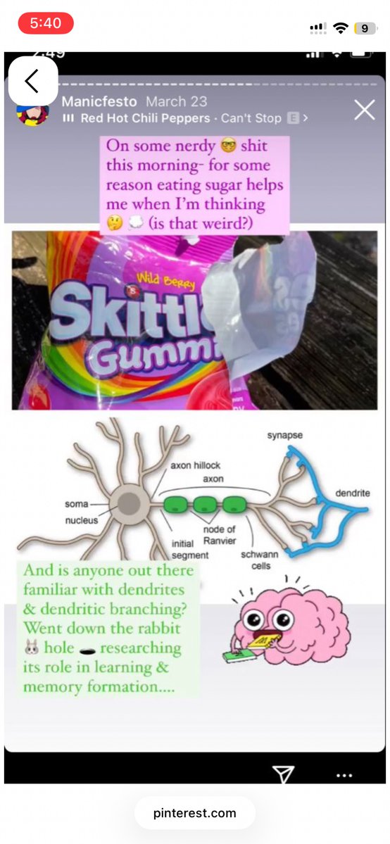 PrueGiroux's tweet image. #nomnom
#dendritetree

#itsgonnabethedeathofmoi
#okuldaşiddetehayır 
#littledeath