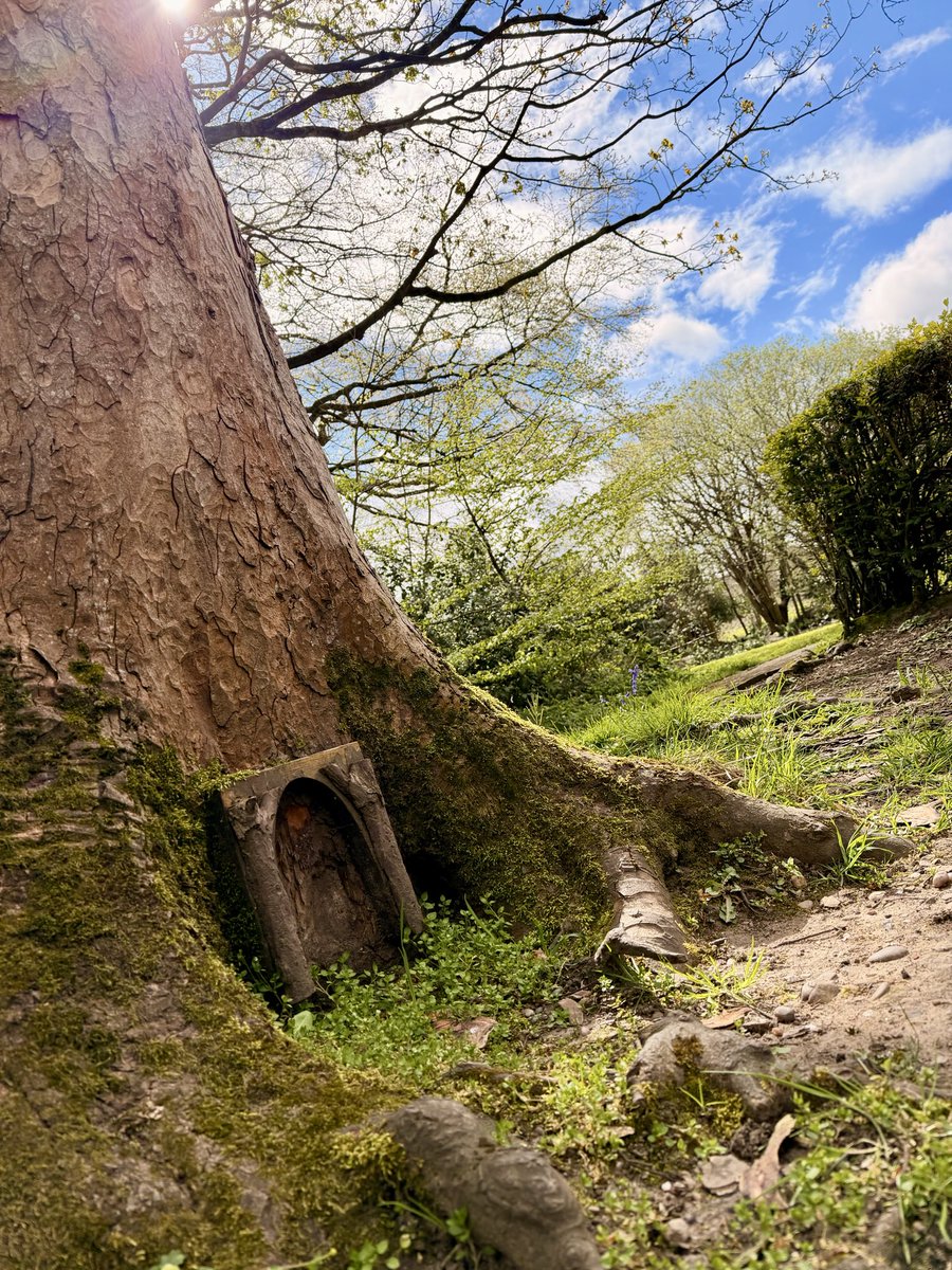 NatCBrooks's tweet image. Feel really grateful to have such lovely places to visit locally - Highbury Park &amp;amp; Hall @highburypark 
#highburyhall #highburypark #local #kingsheath #nature