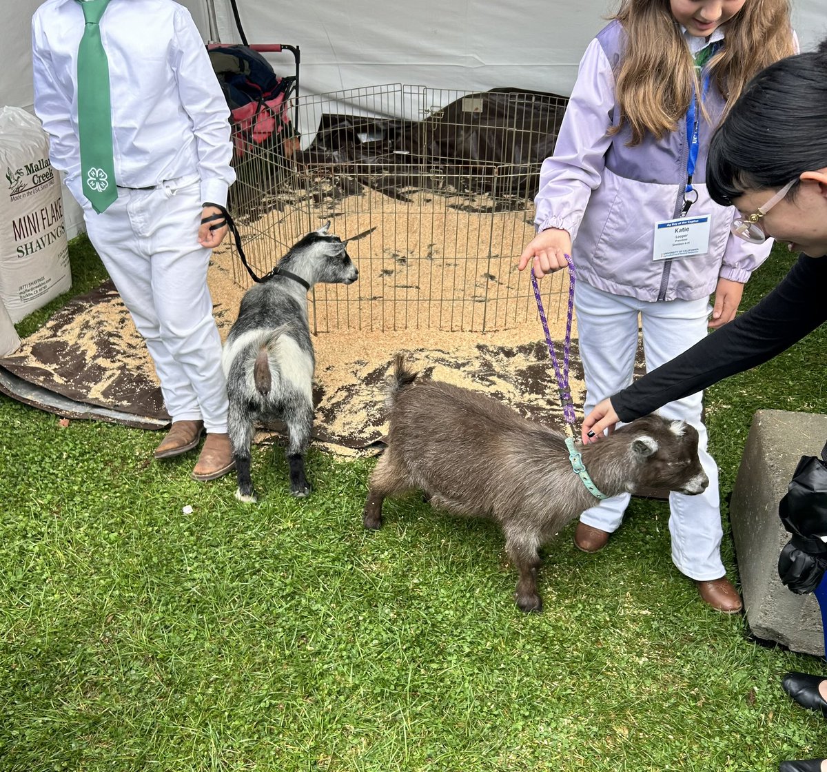 HeathFloraCA's tweet photo. The rain briefly stopped and the clouds parted for the main part of Ag Day at the State Capitol today. Farmers from all over the state brought produce, equipment, animals and everything you can imagine from the world of California agriculture. #agday https://t.co/9LLzSEJXX9