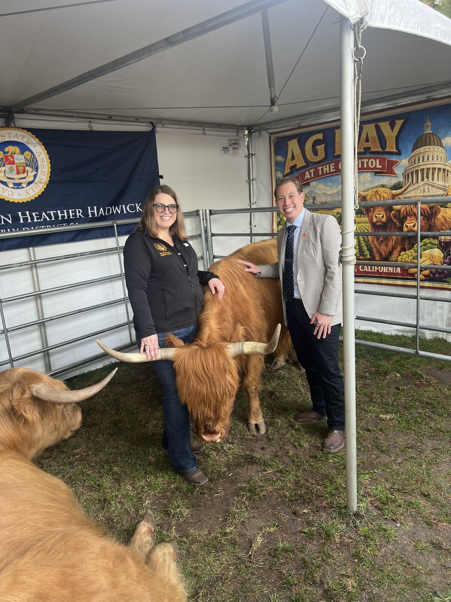 HeathFloraCA's tweet photo. The rain briefly stopped and the clouds parted for the main part of Ag Day at the State Capitol today. Farmers from all over the state brought produce, equipment, animals and everything you can imagine from the world of California agriculture. #agday https://t.co/9LLzSEJXX9