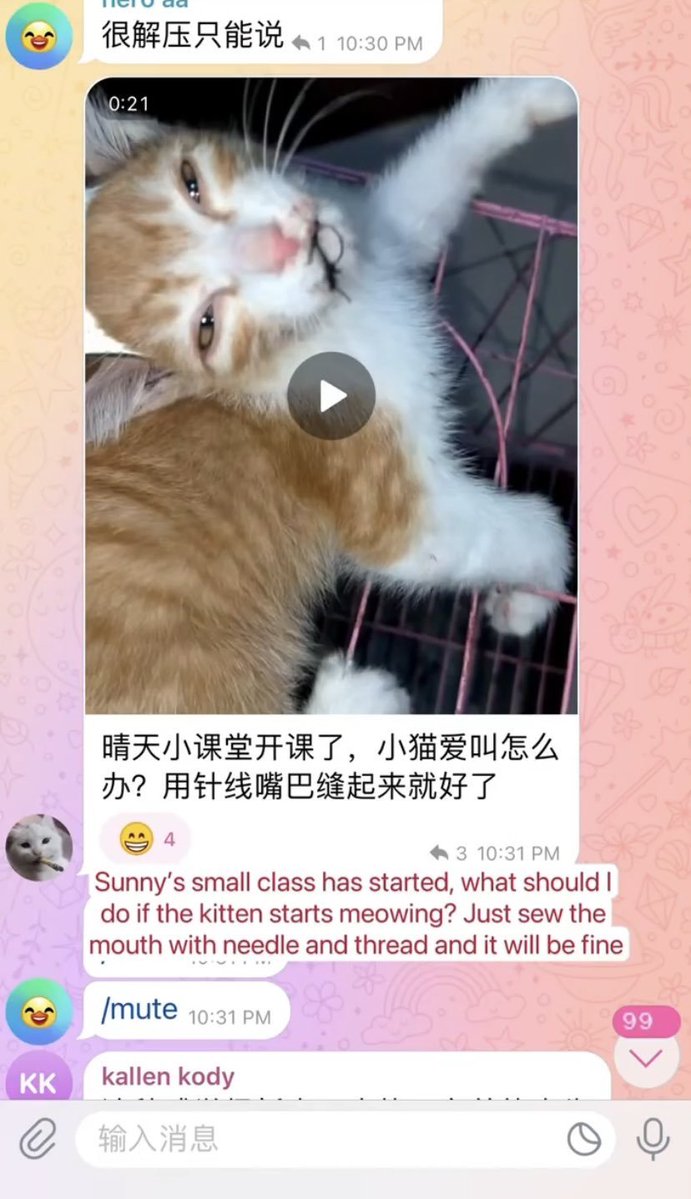 Abuser Database tweet media