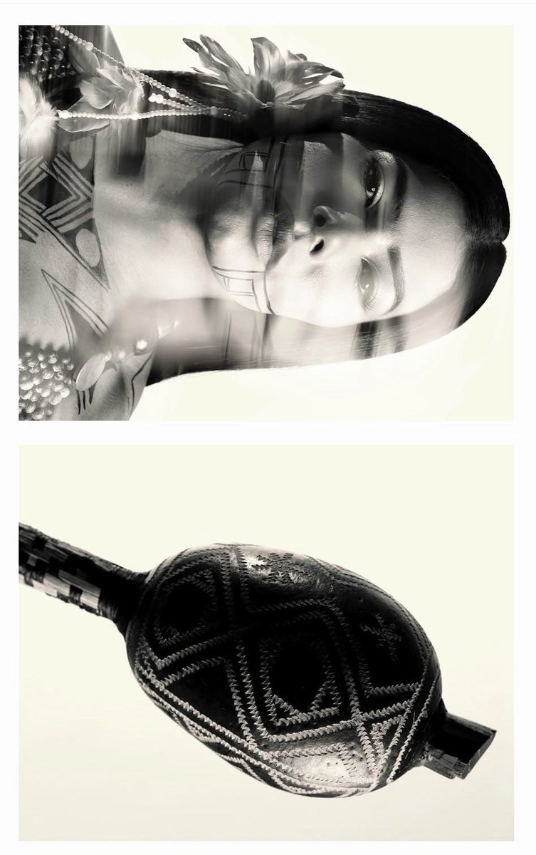 isso aqui tá um LUXO