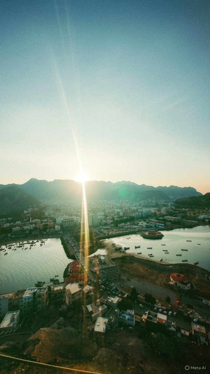 فاطمة tweet media