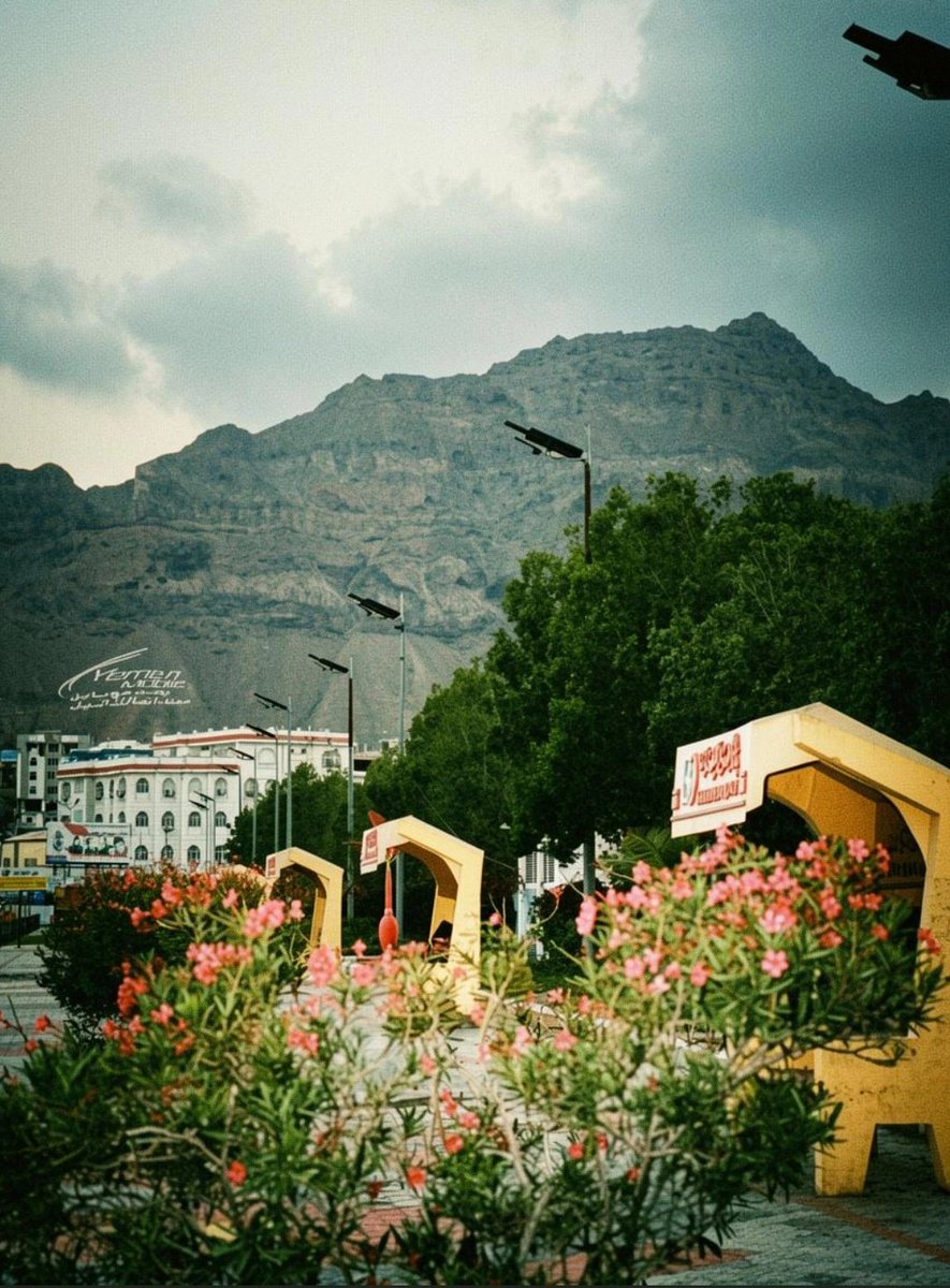 فاطمة tweet media