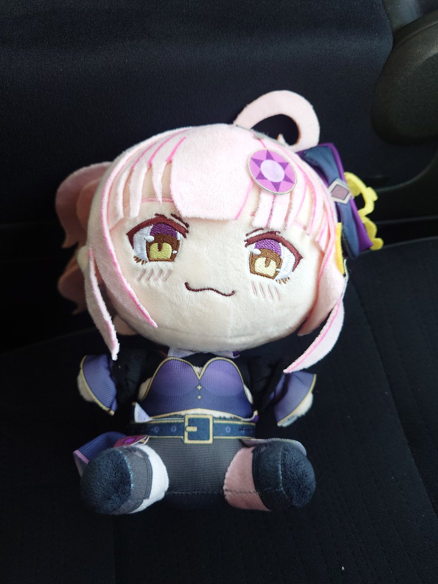あい　ぬいぐるみ RT @9D01JHpAfvCntAb: かわいいあいぬいが我が家に来ました🥰 初めての