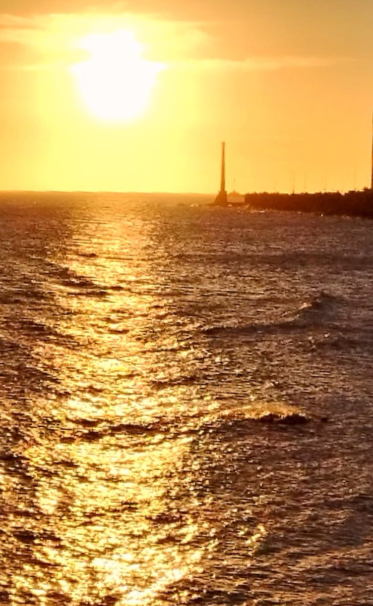 Julio Porra tweet media